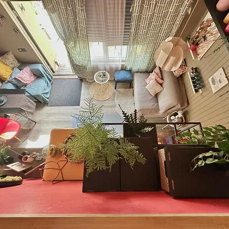 Amazing Little House On An Island With Garden Hébergement de vacances