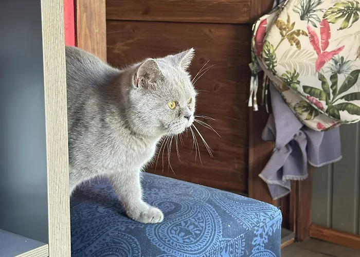 Amazing Little House On An Island With Garden 別荘 *