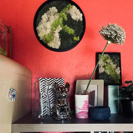 Semesterbostad Amazing Little House On An Island With Garden *