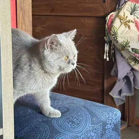 Amazing Little House On An Island With Garden Σπίτι διακοπών *