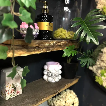 Amazing Little House On An Island With Garden Semesterbostad Riga